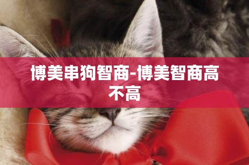 博美串狗智商-博美智商高不高