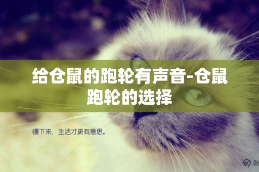 給倉鼠的跑輪有聲音-倉鼠跑輪的選擇