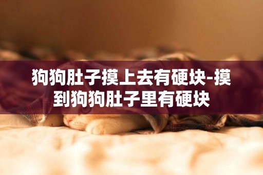 狗狗肚子摸上去有硬塊-摸到狗狗肚子里有硬塊