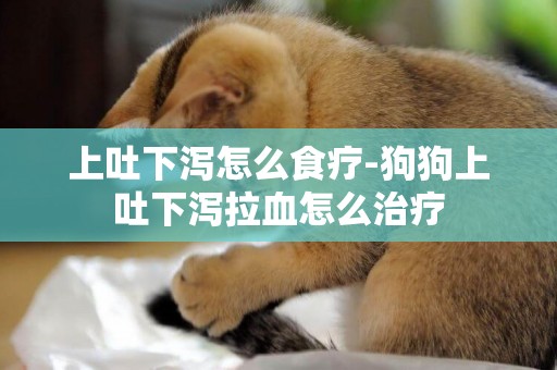 上吐下瀉怎么食療-狗狗上吐下瀉拉血怎么治療