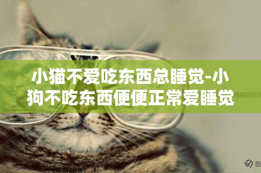 小貓不愛吃東西總睡覺-小狗不吃東西便便正常愛睡覺