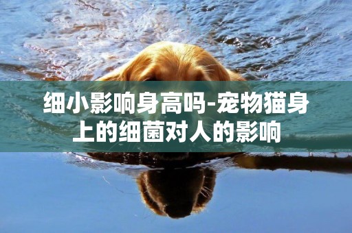 細小影響身高嗎-寵物貓身上的細菌對人的影響