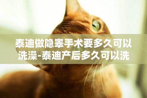 泰迪做隱睪手術要多久可以洗澡-泰迪產后多久可以洗澡