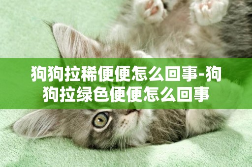 狗狗拉稀便便怎么回事-狗狗拉綠色便便怎么回事