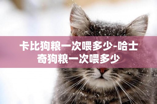 卡比狗糧一次喂多少-哈士奇狗糧一次喂多少