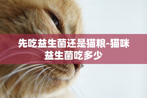 先吃益生菌還是貓糧-貓咪益生菌吃多少