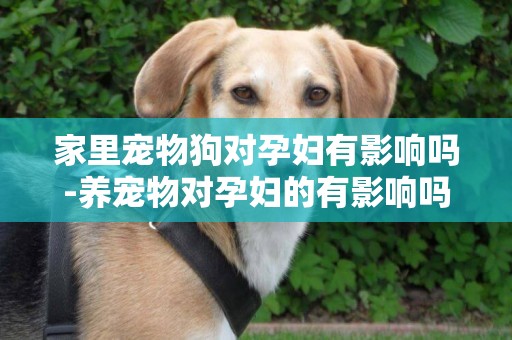 家里寵物狗對孕婦有影響嗎-養寵物對孕婦的有影響嗎