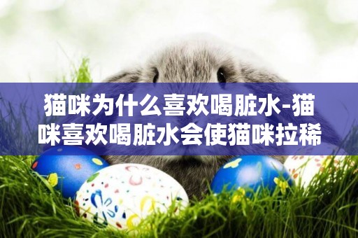 貓咪為什么喜歡喝臟水-貓咪喜歡喝臟水會使貓咪拉稀嗎