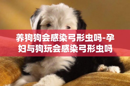 養狗狗會感染弓形蟲嗎-孕婦與狗玩會感染弓形蟲嗎