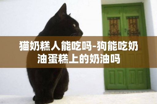 貓奶糕人能吃嗎-狗能吃奶油蛋糕上的奶油嗎