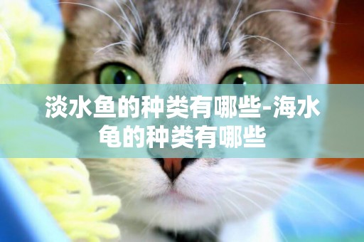 淡水魚的種類有哪些-海水龜的種類有哪些