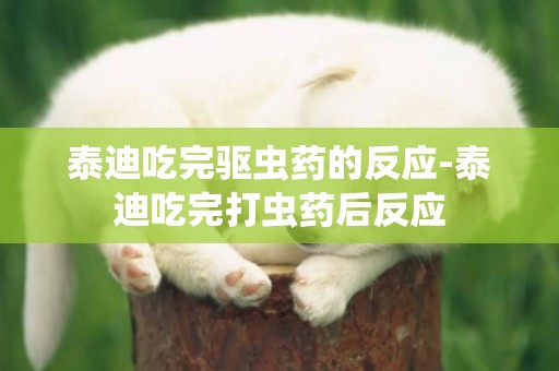 泰迪吃完驅蟲藥的反應-泰迪吃完打蟲藥后反應