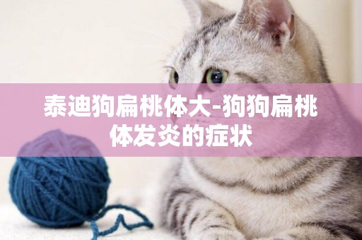 泰迪狗扁桃體大-狗狗扁桃體發炎的癥狀