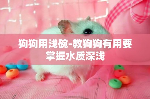 狗狗用淺碗-教狗狗有用要掌握水質深淺