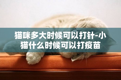 貓咪多大時候可以打針-小貓什么時候可以打疫苗