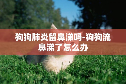 狗狗肺炎留鼻涕嗎-狗狗流鼻涕了怎么辦