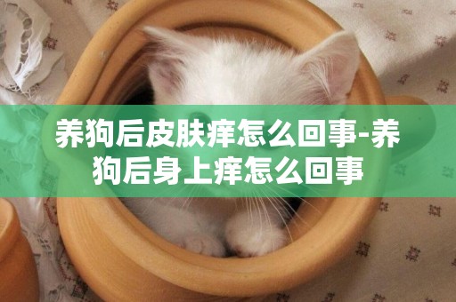 養狗后皮膚癢怎么回事-養狗后身上癢怎么回事