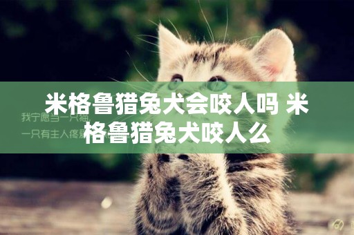 米格魯獵兔犬會咬人嗎 米格魯獵兔犬咬人么