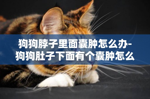 狗狗脖子里面囊腫怎么辦-狗狗肚子下面有個囊腫怎么辦