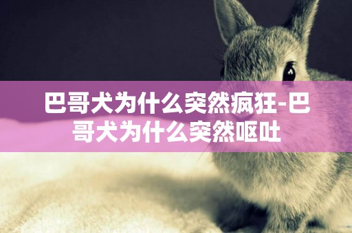 巴哥犬為什么突然瘋狂-巴哥犬為什么突然嘔吐