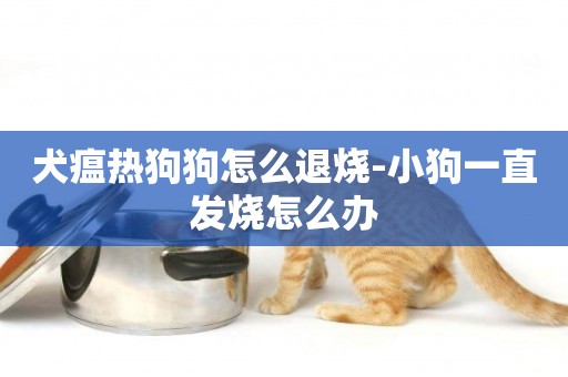犬瘟熱狗狗怎么退燒-小狗一直發燒怎么辦