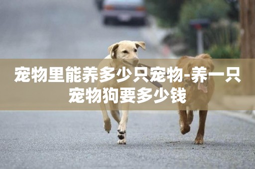 寵物里能養多少只寵物-養一只寵物狗要多少錢