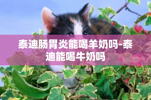 泰迪腸胃炎能喝羊奶嗎-泰迪能喝牛奶嗎