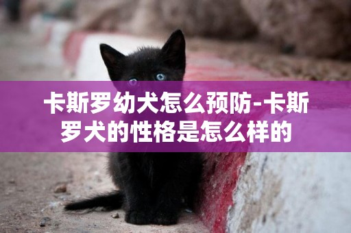 卡斯羅幼犬怎么預防-卡斯羅犬的性格是怎么樣的