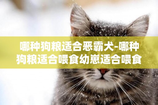 哪種狗糧適合惡霸犬-哪種狗糧適合喂食幼崽適合喂食幼犬的狗糧有哪些