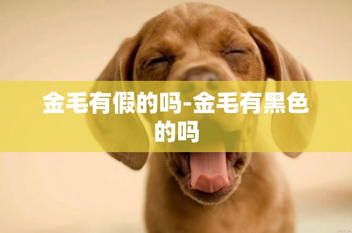 金毛有假的嗎-金毛有黑色的嗎