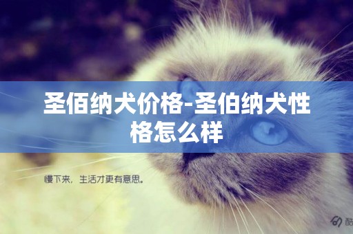 圣佰納犬價格-圣伯納犬性格怎么樣