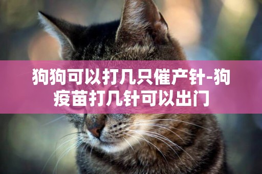 狗狗可以打幾只催產針-狗疫苗打幾針可以出門