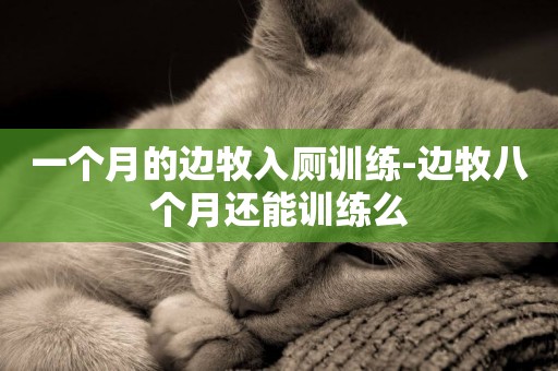 一個月的邊牧入廁訓練-邊牧八個月還能訓練么