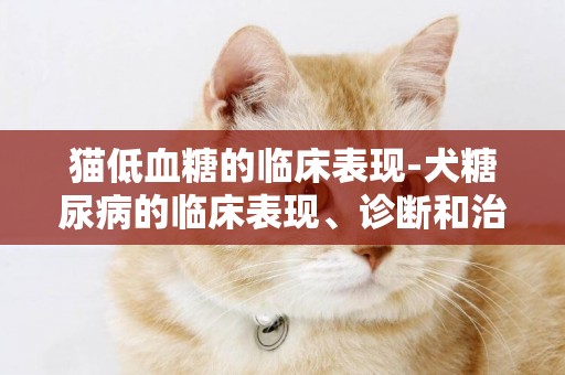 貓低血糖的臨床表現-犬糖尿病的臨床表現、診斷和治療方法