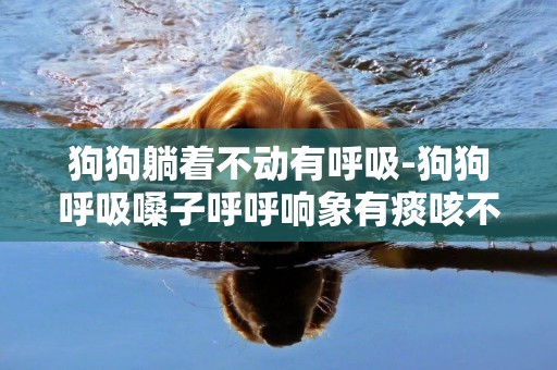 狗狗躺著不動有呼吸-狗狗呼吸嗓子呼呼響象有痰咳不出來