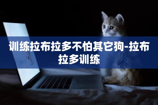 訓練拉布拉多不怕其它狗-拉布拉多訓練