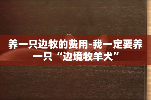 養一只邊牧的費用-我一定要養一只“邊境牧羊犬”