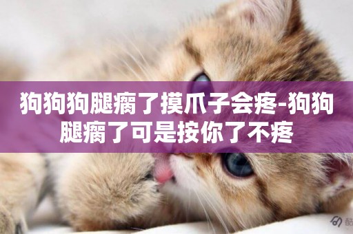 狗狗狗腿瘸了摸爪子會疼-狗狗腿瘸了可是按你了不疼