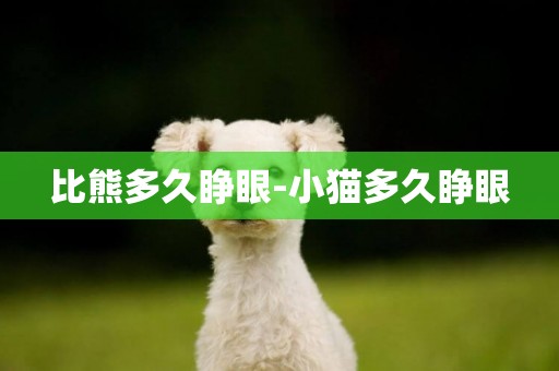 比熊多久睜眼-小貓多久睜眼