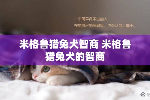 米格魯獵兔犬智商 米格魯獵兔犬的智商