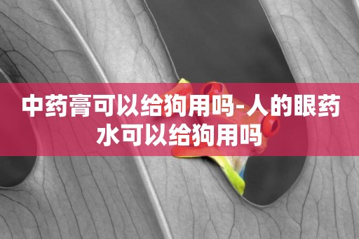 中藥膏可以給狗用嗎-人的眼藥水可以給狗用嗎