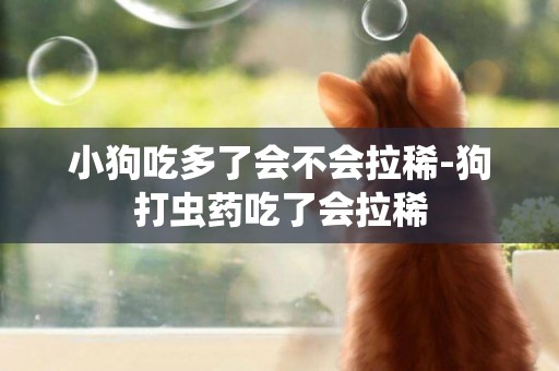 小狗吃多了會不會拉稀-狗打蟲藥吃了會拉稀