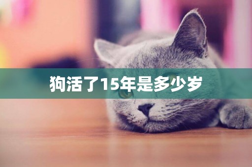 狗活了15年是多少歲