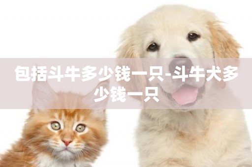 包括斗牛多少錢一只-斗牛犬多少錢一只