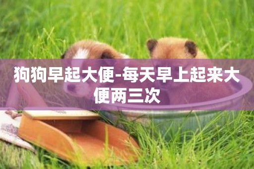 狗狗早起大便-每天早上起來大便兩三次