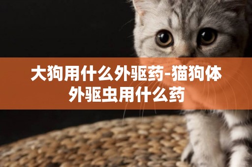 大狗用什么外驅藥-貓狗體外驅蟲用什么藥