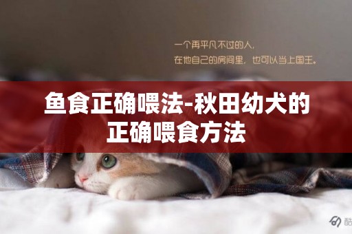 魚食正確喂法-秋田幼犬的正確喂食方法