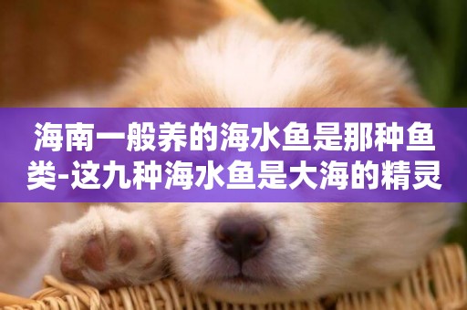 海南一般養的海水魚是那種魚類-這九種海水魚是大海的精靈