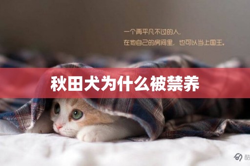 秋田犬為什么被禁養