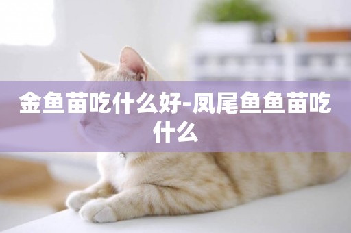 金魚苗吃什么好-鳳尾魚魚苗吃什么